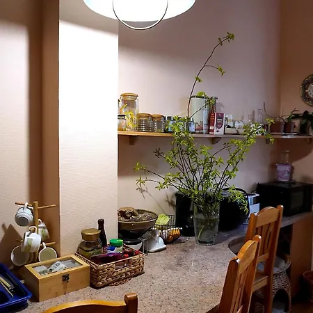 Проживання в сім'ї Cozy In With A Cat 10 Min To Station Рига