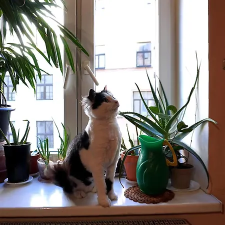Cozy In With A Cat 10 Min To Station *